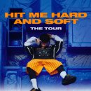 스무디킹 | 🇺🇸빌리 아일리시 콘서트 후기+공연 관람 꿀팁 (뉴올리언스 스무디킹 센터)