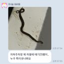 당구 하라 | [일상] 26년 8월 1주차