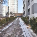 나루초등학교 이미지