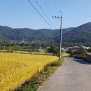 금강생복집마을 이미지