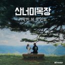 장훈목장 | 2편 기막힌 뷰 포인트 평창 [ 산너미목장 캠핑, 나홀로나무 ]