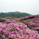 남*원