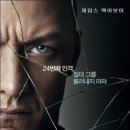 23 이미지