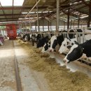 돈보라목장 이미지