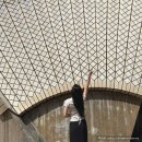 화이트하우스in용담 | 호주 시드니 여행 :: 오페라하우스 한국어 내부 투어 후기 (당일예약, 꿀팁소개)