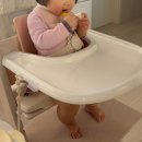 11650-16-176-5 | 뿐이 토핑 이유식 | 후기 이유식 1일차 22-24일차 | 파프리카 | D+291