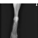 온누리동물병원 이미지