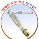 남대문의료기 빛과세상광명사 | 대뇌 전전두엽과 자연건강(딱따구리 고타법)