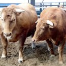 합천슈퍼 이미지