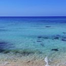세나쿠룸 제주 네이버블로그