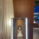 센시빌리티 - 35623 | 센시빌리티
