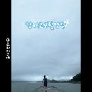 청해포구촬영장 | 완도여행 청해포구촬영장 다녀온후기