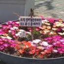 고프로뷰티 | 오즈모 포켓4 크리에이터콤보 따끈한 내돈내산 쿠팡 구매후기