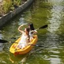 비체올린 이미지