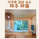 제주하뭄 이미지