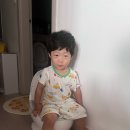오투대신에너지 - 6940 | [내돈내산] 22개월 기저귀 떼기! 두리 사운드포트 아기변기 리얼 사용기 & Q&A