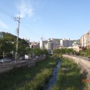 운림교 Daum카페