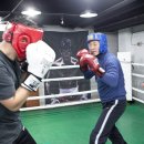 코리안 복싱클럽 이미지