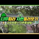 회문산자연휴양림 이미지