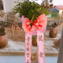 JJP골프클럽 이미지