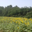 논개생가(주촌)마을 이미지