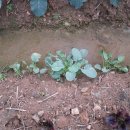 광개토농장 이미지