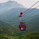 카 베스트 이미지