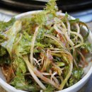 그린피그 이미지