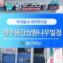 용강동 세탁소, 용강동 빨래방 월드크리닝 경주용강삼환나우빌점
