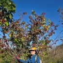 팔영경로당 이미지