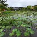 법화사 - 1013 | 법화사