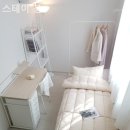 스테이 봄 이미지