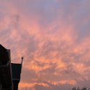 손달옥한방족발 | 장성맛집/ 장성 보쌈맛집/ 배달되는 손달옥한방왕족발보쌈