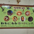원주곤충마을박물관 이미지
