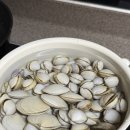 변산반도에서 잡은 조개로 끓여먹는 동죽칼국수