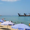 외옹치항 활어판매장 | 속초 외옹치 해수욕장