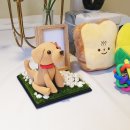 기억할개 이미지