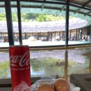 썬파크장 이미지