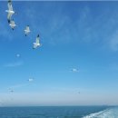 안산-대부-대부-육도2 이미지