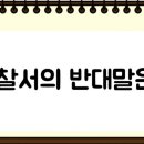 넌센스 Daum카페