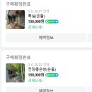 충남 금산 계곡펜션 월영산출렁다리 근처 원골힐링캠프 후기!