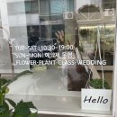 목동은한의원 | [서울 양천] 목동 꽃집 시즈널모먼트플라워스튜디오 스승의날 꽃다발 선물 후기