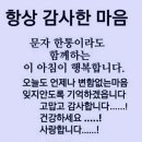 수정공원 네이버블로그