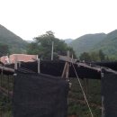 사방할머니 이미지