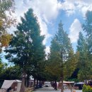 산들애농원 이미지