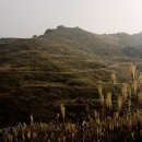 화왕산약국 이미지