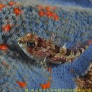 수산목장 이미지