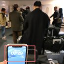 카멜리아 이미지