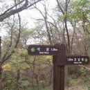 어등산호남대 이미지