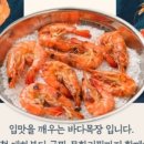 대하목장 이미지